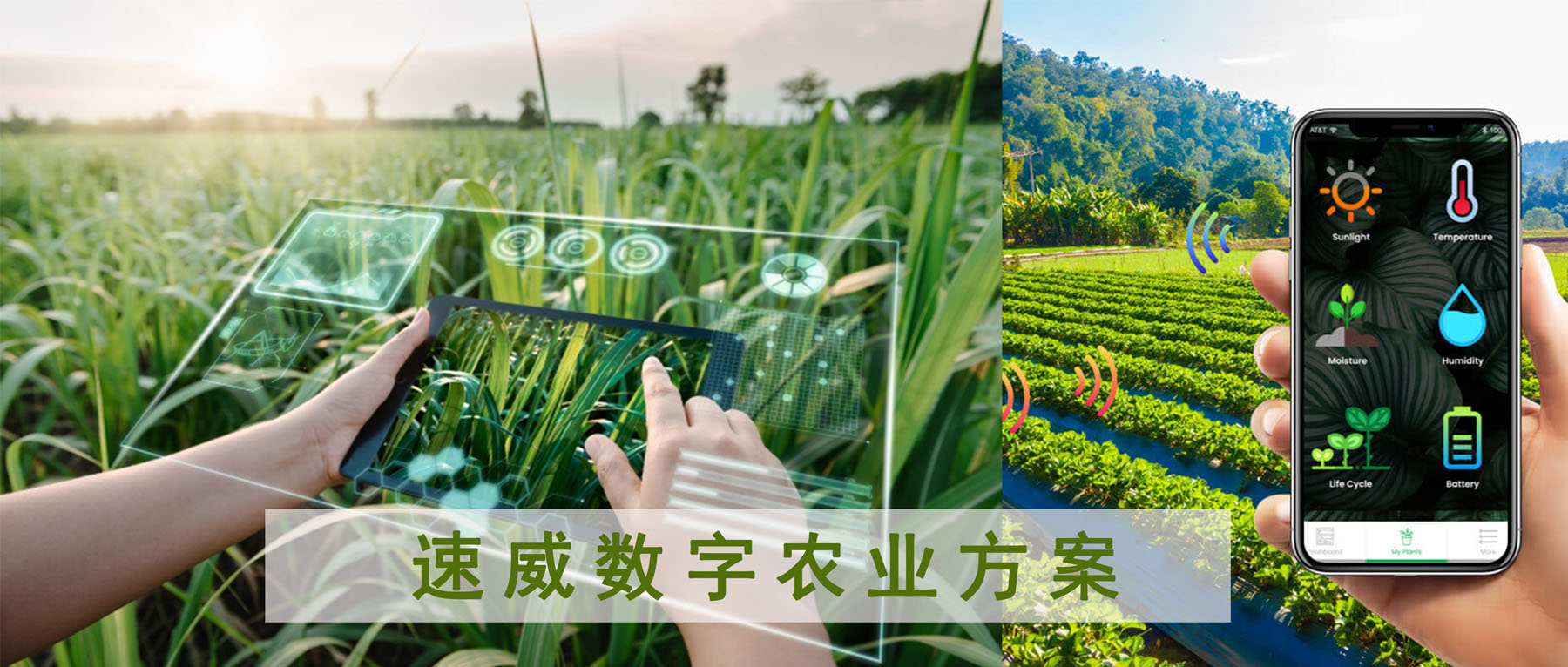 速威數字農業(yè)方案